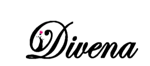 Dudani Retail IPO (Bse Sme) logo